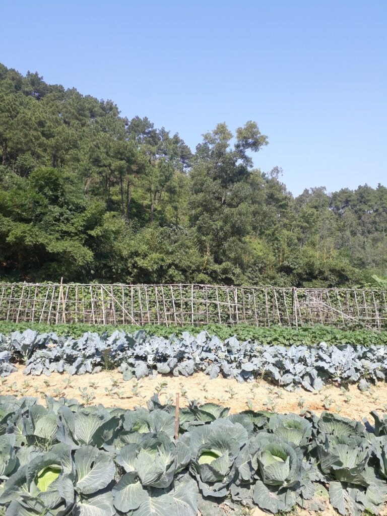 Nông nghiệp bền vững