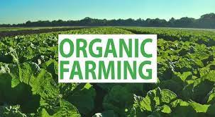 nông nghiệp hữu cơ là gì